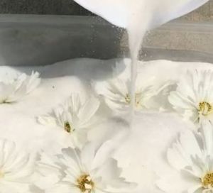 Silica Gel bloem poeder in afsluitbare speciale bloemen droogemmer & GRATIS kwast - 1 kg